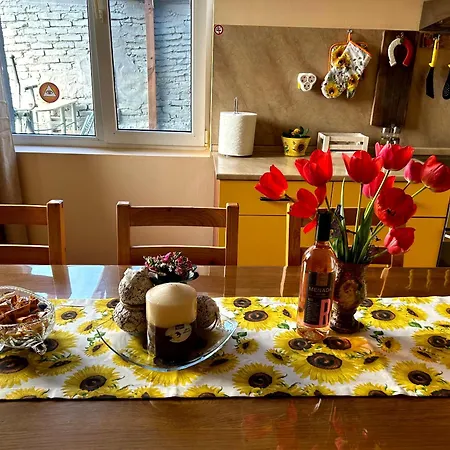 трапезица за до 12 човека с безплатен паркинг, двор и веранди, в град търново 펜션