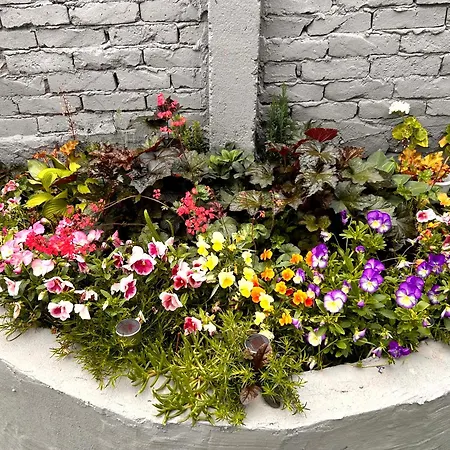 трапезица с безплатен паркинг двор и веранди Дом отдыха *