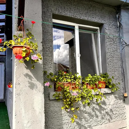 трапезица за до 12 човека с безплатен паркинг, двор и веранди, в град търново *