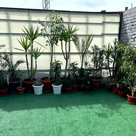 трапезица за до 12 човека с безплатен паркинг, двор и веранди, в град търново * 벨리코 터르노보