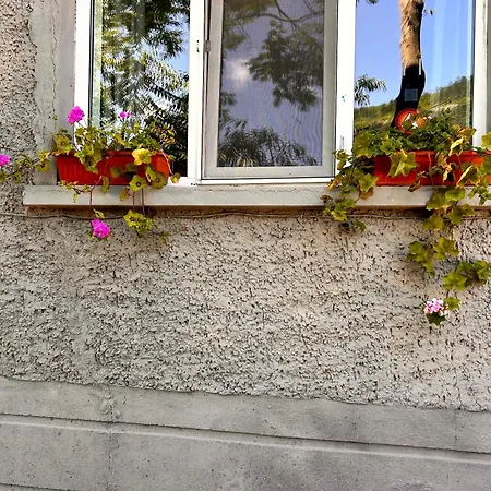 трапезица с безплатен паркинг двор и веранди Дом отдыха *