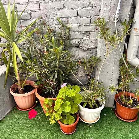 трапезица с безплатен паркинг двор и веранди *