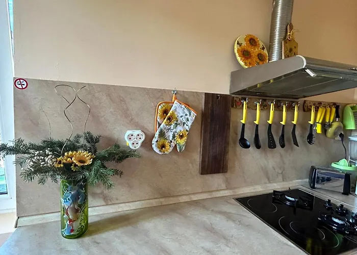 трапезица за до 12 човека с безплатен паркинг, двор и веранди, в град търново 펜션