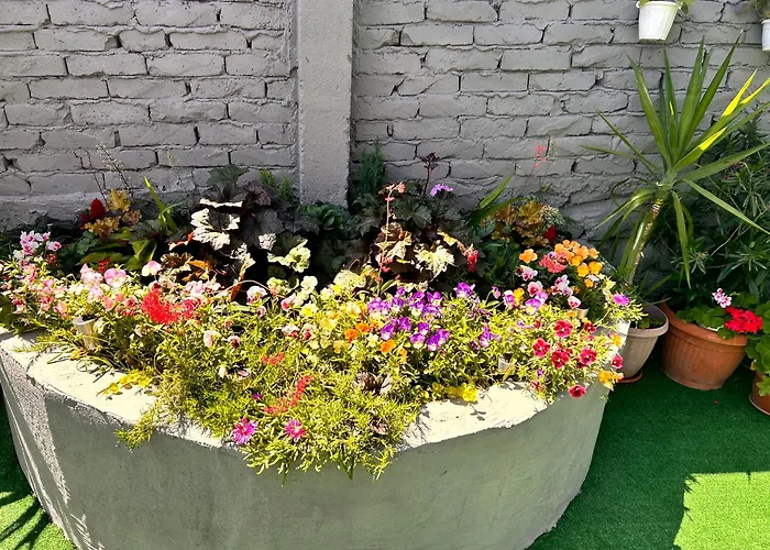 трапезица за до 12 човека с безплатен паркинг, двор и веранди, в град търново 벨리코 터르노보