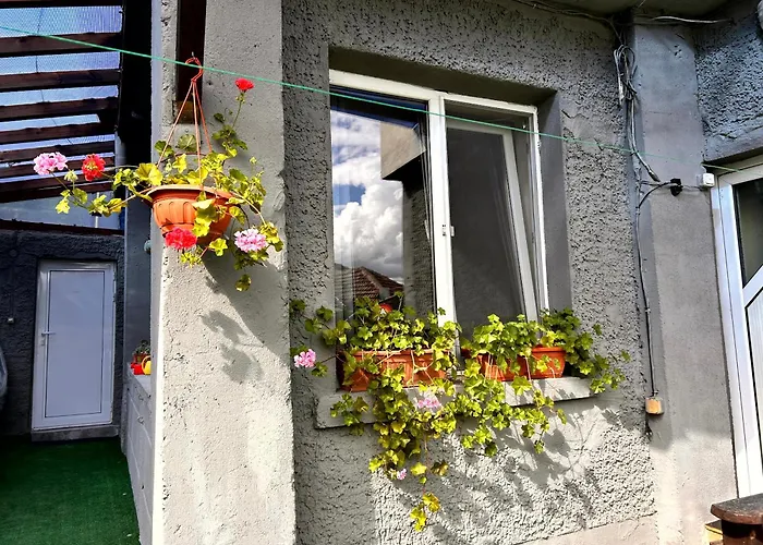 трапезица за до 12 човека с безплатен паркинг, двор и веранди, в град търново *