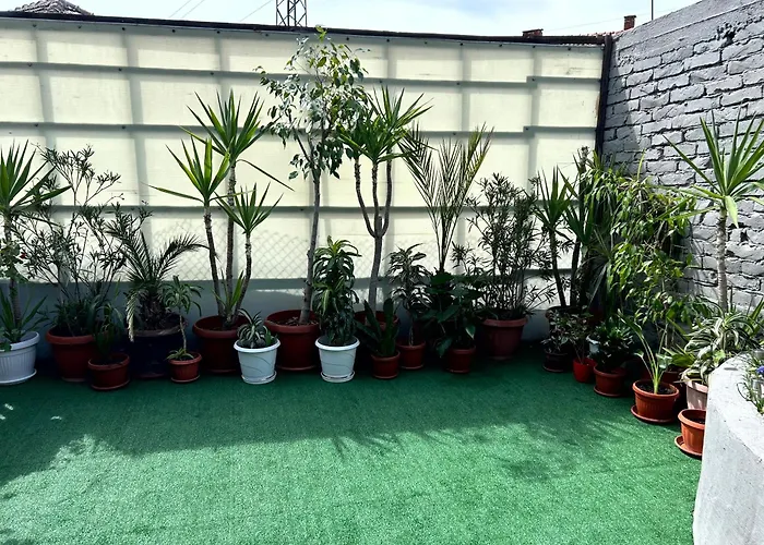 трапезица за до 12 човека с безплатен паркинг, двор и веранди, в град търново * 벨리코 터르노보