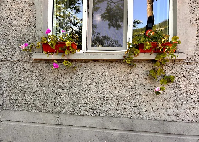 трапезица за до 12 човека с безплатен паркинг, двор и веранди, в град търново 펜션 *