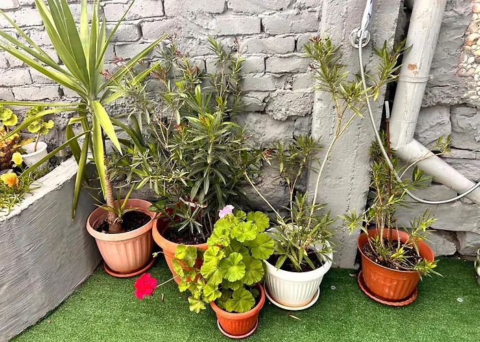 трапезица за до 12 човека с безплатен паркинг, двор и веранди, в град търново *