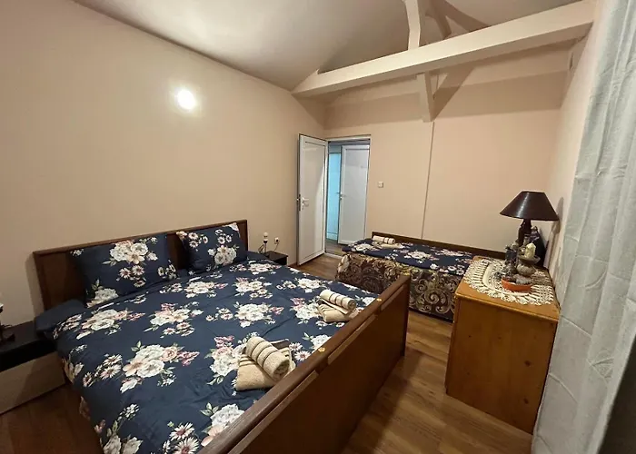 трапезица за до 12 човека с безплатен паркинг, двор и веранди, в град търново 펜션 *